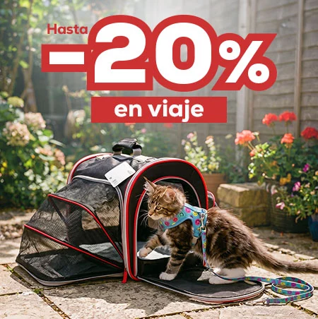 Accesorios para gato ¡prepara su viaje!