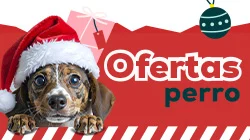Ofertas para perro