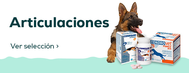 Especial