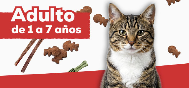 Snacks para gato adulto de 1 a 7 años