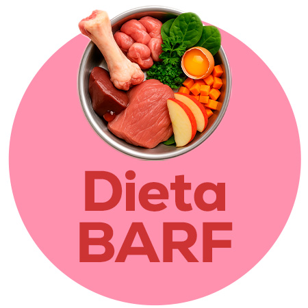 Dieta BARF. Alimentación completa para tu gatito