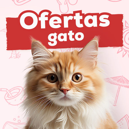 Ofertas para gato