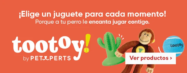Tootoy: Elige un juguete para cada momento