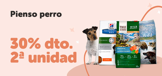 Ofertas perro