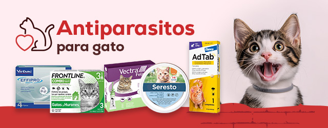 Antiparasitarios Gato