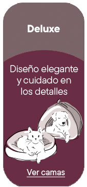 Deluxe, camas con diseños elegantes y cuidado en los detalles