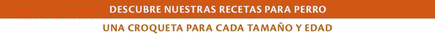 Encuentra el producto adecuado para tu perro