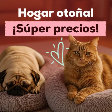 Súper precios en selección de accesorio otoñales del hogar