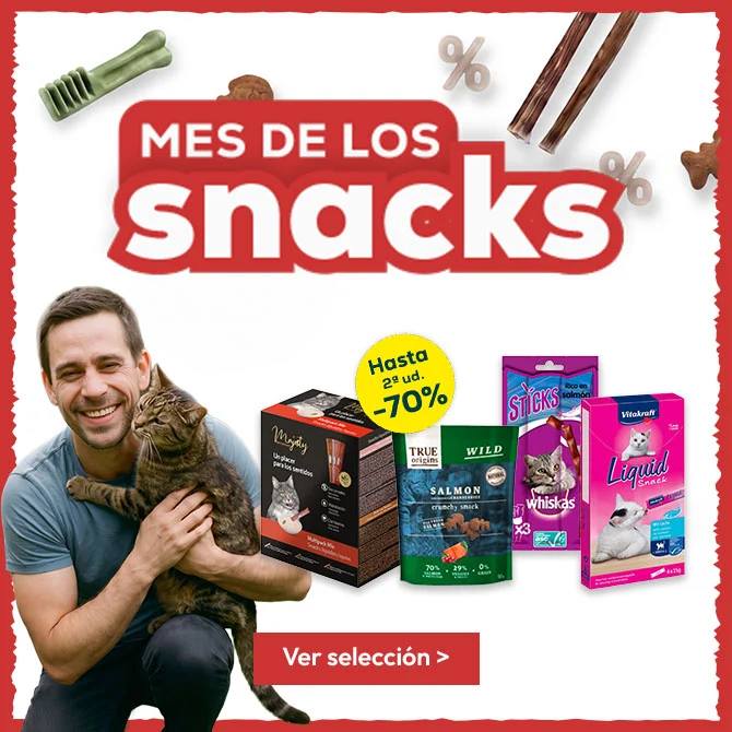 Mes de los snacks para gato