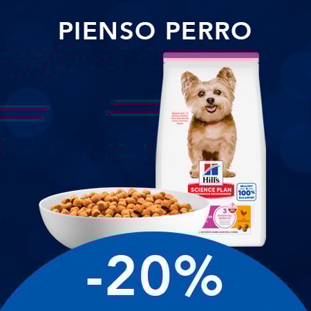 Hill's: -20% en pienso seco para perro pequeños y minis