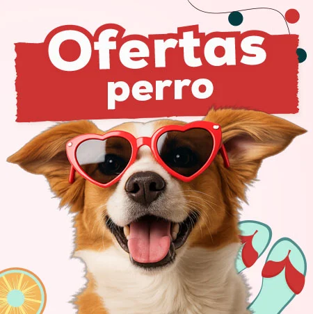 Ofertas para perro