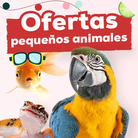 Ofertas para pequeños animales