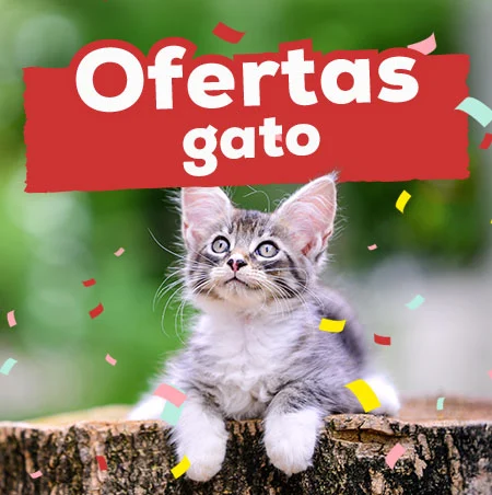 Ofertas en gato