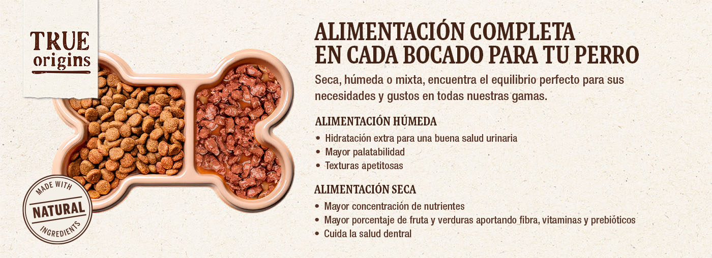 Alimentación seca y húmeda: la combinación perfecta para la alimentación natural de tu perro.