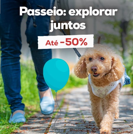 Descubram juntos: até 50% de desconto numa seleção de acessórios para passeio