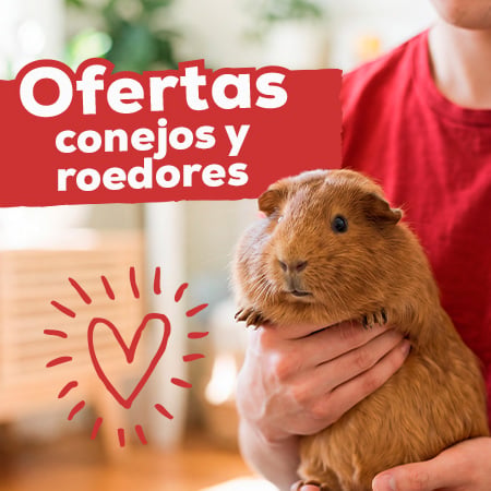 Ofertas para conejos y roedores