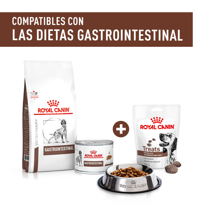 Royal Canin. Compatibles con las Dietas Gastrointestinal.