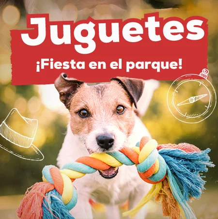 Ofertas de juguetes para divertirse en el parque