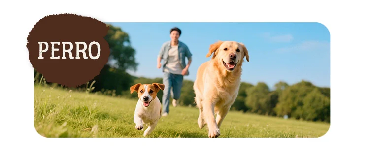 True Origins Pure perro