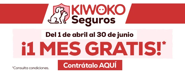 Seguros: Desde abril hasta junio un mes gratis