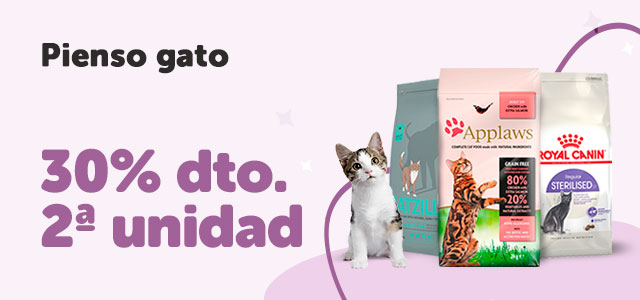 Ofertas gato