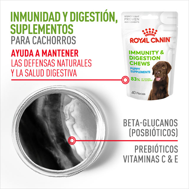 Inmunidad y Digestión. Suplementos para cachorros que ayudan a mantener las defensas naturales y su salud digestiva
