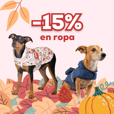 Paseo y ropa