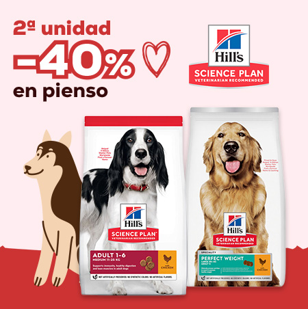 Hill's Science Plan: -40% en la 2ª unidad en selección de pienso para perro