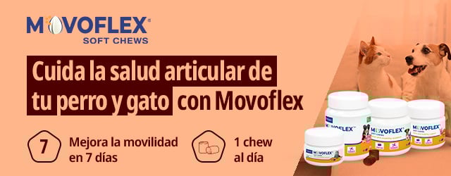 Virbac: Cuida la salud articular de tu perro y gato con Movoflex