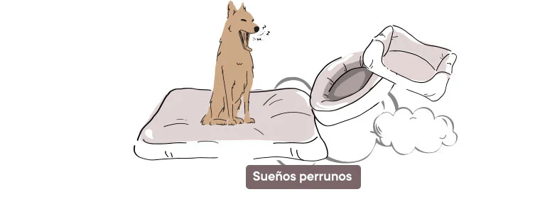 Camas para perros