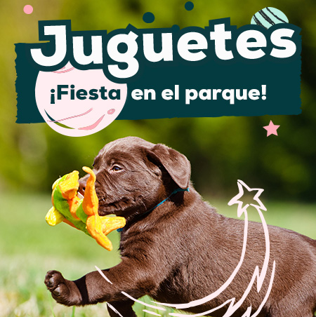 Ofertas de juguetes para divertirse en el parque