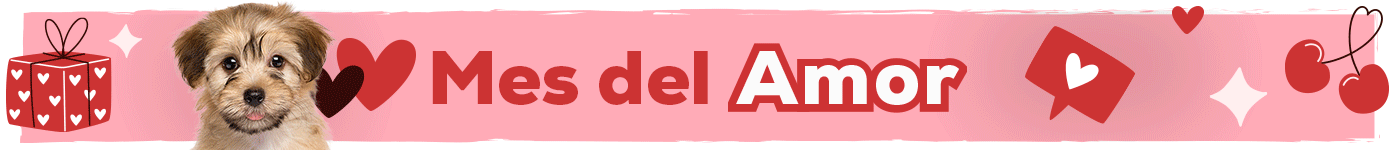 Mes del amor: Hasta -30% en selección de accesorio para perro