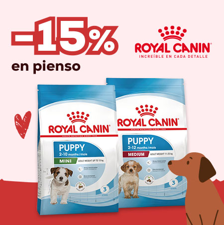 Royal Canin: -15% en selección de pienso para perro