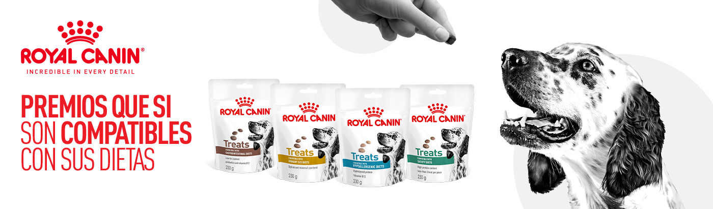 Royal Canin: Premios que sí son compatibles con sus dietas