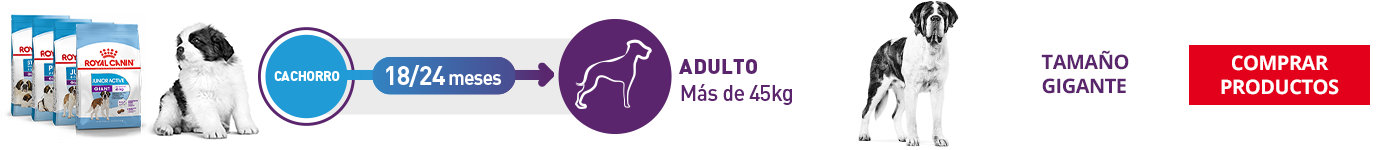 Tamaño Gigante (XL)