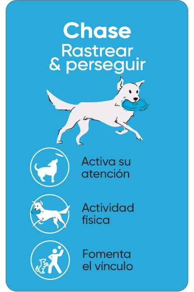 Chase -  Juguetes para rastrear y perseguir fomentando la actividad física