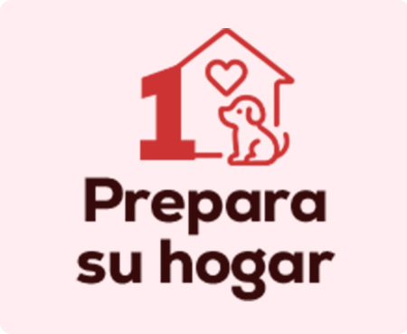 Prepara el hogar para la llegada del nuevo cachorro