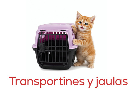 Transportines y viaje para salidas al veterinario o primeros viajes juntos