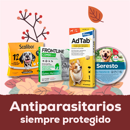 Antiparasitarios: Protege a tu mascota de las pulgas, garrapatas, mosquito de la leishmaniosis durante todo el año