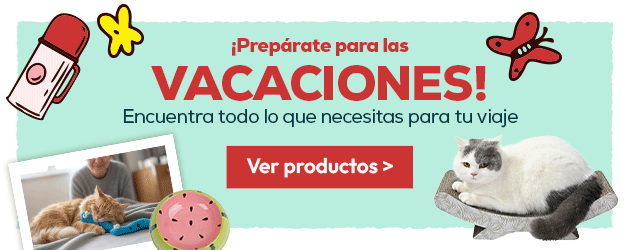 Prepárate para las vacaciones: Hasta -40% en accesorios para gato