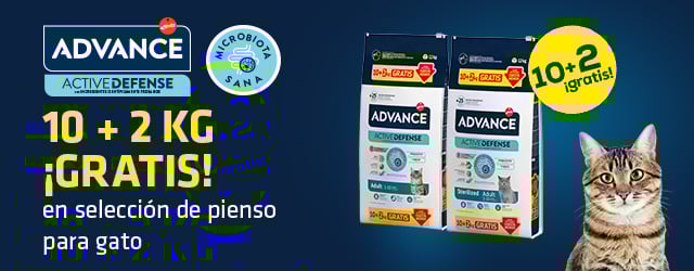 Advance: Kilos gratis con selección de pienso para gato
