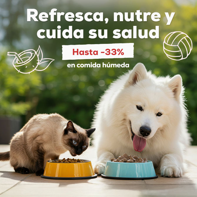 Refresca, nutre y cuida su salud: Hasta -33% en selección de húmedo