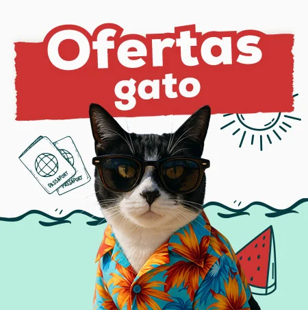 Ofertas para gato