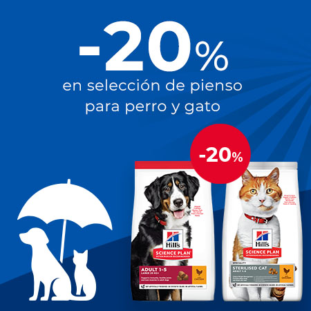 Hill´s Science Plan: -20% en selección de pienso
