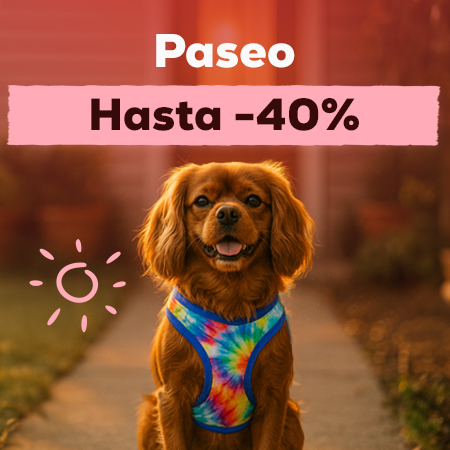 Hasta -40% en selección de accesorios para paseo