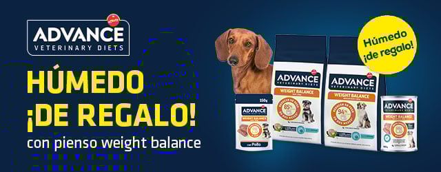 Advance Veterinary Diets: Húmedo ¡de regalo! con pienso weight balance