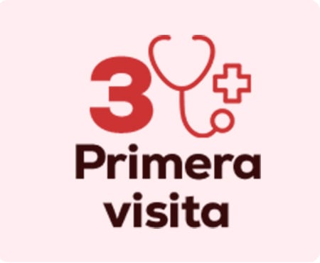 Prepara la primera visita con especialistas. Clínica veterinaria, peluquería...
