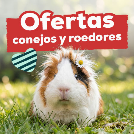 Ofertas para conejos y roedores