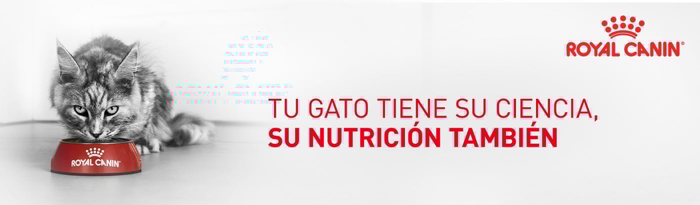 Royal Canin. Tu gato tiene su ciencia, su nutrición también