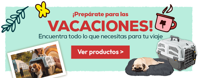 Prepárate para las vacaciones: Hasta -40% en accesorios para perro